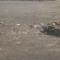 زمین ۲۷۵ متری شهرک پالیز