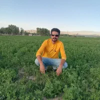 کمک راننده هستم.مدارک کامل.ترانزیت