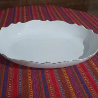 ظروف پذیرایی نو