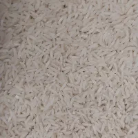 برنج هاشمی گیلان امساله معطر و بشرط مرجوعی|خوردنی و آشامیدنی|برخوار, |دیوار