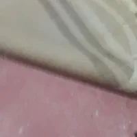 فرش ۶متری|فرش|مشهد, حضرت حجت|دیوار