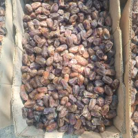 کارگر چسپ پلاستیک کن خانم
