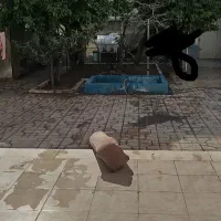 خوابگاه-دخترانه-تایم-ازاد