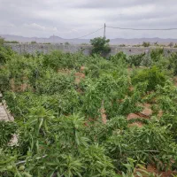 فروش-باغ-600متری-واقع-در-نهضت-آباد