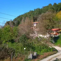 دریاچه سد لفور اجاره شبانه واحد ۱۰۰ متری ویو عالی|اجارهٔ کوتاهمدت آپارتمان و سوئیت|شیرگاه, |دیوار