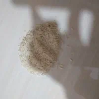 فروش برنج طارم هاشمی درجه یک معطر ورب انار محلی