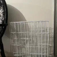 پارک سگ