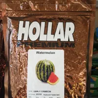 بذرهندوانه هولار