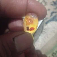 سنگ قیمتی|کلکسیون اشیاء عتیقه|کرمان, |دیوار