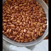 لوبیا چیتی رستوران ها و فروشندگان