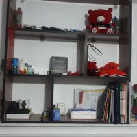 کتابخانه تمام ام دی اف|کتابخانه، شلف، قفسه‌های دیواری|رشت, منظریه|دیوار
