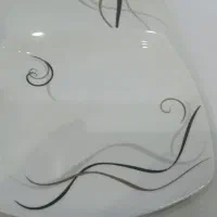 ظروف چینی