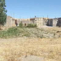 زمین-مناسب-پرواربندی-دام-سبک-و-سنگین
