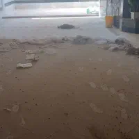 نظافت ساختمان