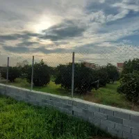 260متر زمین فیروزکنده