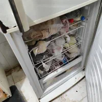 یخچال|یخچال و فریزر|تهران, یاخجی آباد|دیوار