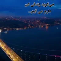 پارتنر پیاده روی و ورزش