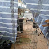 سبد آهنی مقاوم کم جا