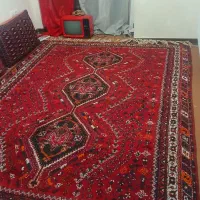 دو عدد فرش دستباف ۶ متری|فرش|شیراز, دانشگاه شیراز|دیوار