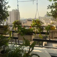 فرمانیه، ۱۴۰ متر ، برج باغ ، طبقه ۷ ، هتلینگ