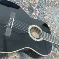 گیتار نونو هست باکاور گیتار