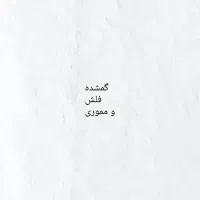 فلش و مموری گمشده .یابنده مژدگانی خوب