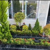 خدمات باغبانی فضای سبز باغچه ویلایی واپارتمانی