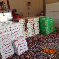 دستمال جعبه ای و اقتصادی|مواد شوینده و دستمال کاغذی|فلاورجان, |دیوار