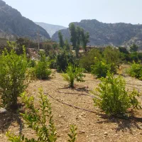 فروش خانه نو ساز با باغ|فروش خانه و ویلا|دهدشت, |دیوار