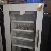 دستگاه جوجه کشی