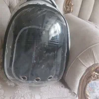 باکس و کوله سگ