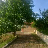 ۶۰۰۰متر خونه باغ دل طبیعت زیبای کلسفروش|فروش خانه و ویلا|توتکابن, |دیوار