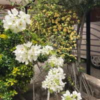 مغازه شهرک مطهری خیابان شهدا ناجا نود متر