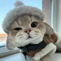 هدیه 180تومانی