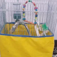 قفس برای تمامی پرنده ها با تمام وسایل