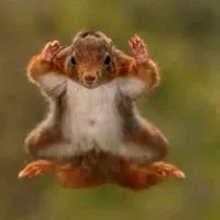 کتاب pdf اموزش کناف