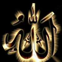 رشته دانشگاهی