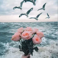 انجام خدمات فوتوشاپ