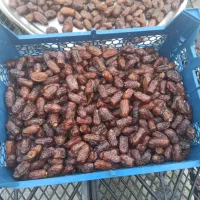 خرمای پیارم