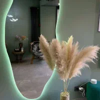 آینه back|آینه|خرمآباد, |دیوار