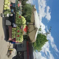 خاور|استخدام حمل و نقل|میاندوآب, |دیوار