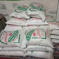 برنج کامفیروزی