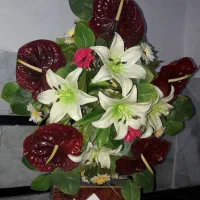 گل مناسب هدیه نو۲۸۰تا۵۵۰