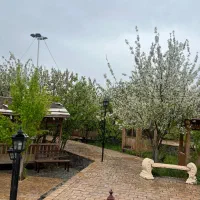 مدیر فروش خانم و کارشناس فروش