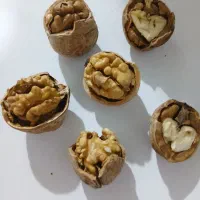 گردوی محلی  درجه یک بوانات