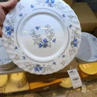 آرکوپال گل آبی یا کد 120 پارس اوپال|ظروف سرو و پذیرایی|تبریز, |دیوار