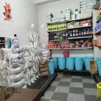 برنج‌وحبوبات‌وروغن‌باچک