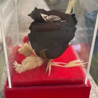 گل جاودانه مشکی طلایی