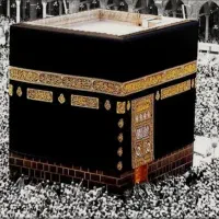 فروش فیش حج
