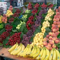 کارگروارد میوه فروشی